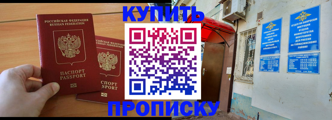 прописка штамп в Сольцах